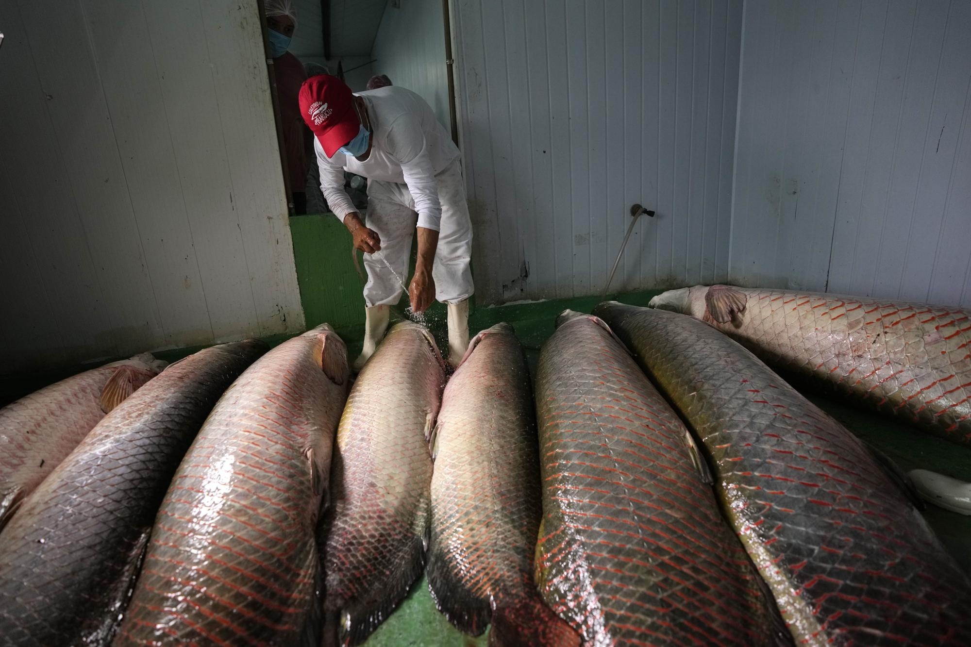 Ca hai tuong long anh 5