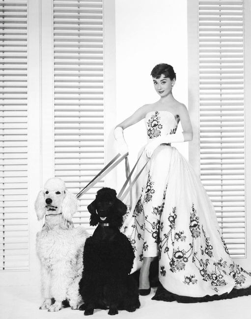 audrey hepburn anh 1
