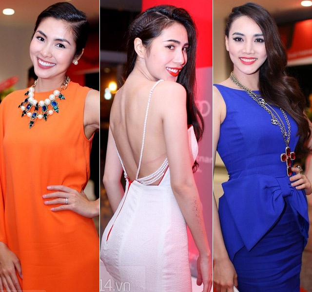 Dan my nhan Viet quyen ru hoi tu tren tham do hinh anh