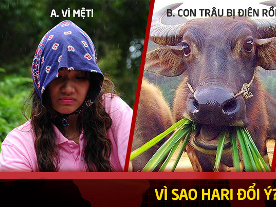 Anh che hai huoc cua trai xinh gai dep 'Cuoc dua ky thu' hinh anh