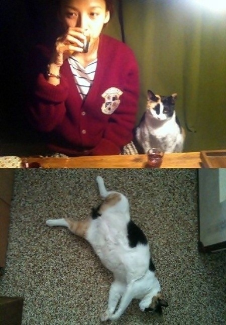 Lee Hyori cũng không ngại ngùng thừa nhận mình là fan của thứ chất lỏng cay cay. Nữ hoàng sexy xứ Hàn cho biết, có thời gian khủng hoảng vì công việc, cô vẫn tìm đến rượu để giải khuây hàng ngày.