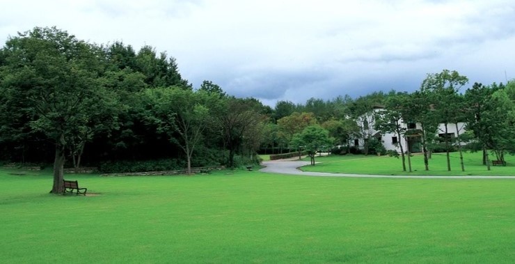 Lối đi vào bên trong căn nhà của nhân vật chính Kim Joo Won. Đây cũng là không gian xanh mát rượi của phim trường M Vision Village.