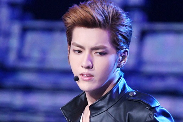 Kris roi nuoc mat trong show cuoi cung EXO hinh anh