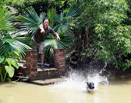 Nha vuon rong 10.000 m2 cua dien vien Giang Coi hinh anh