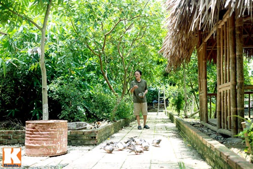 Diễn viên hài Giang Còi cho chim bồ câu ăn tại nông trang của mình. Được biết, hiện anh nuôi khoảng 50 chú chim bồ câu