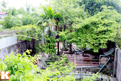 Ngôi nhà 2 tầng của Giang Còi được bao phủ bởi một dàn cây xanh.