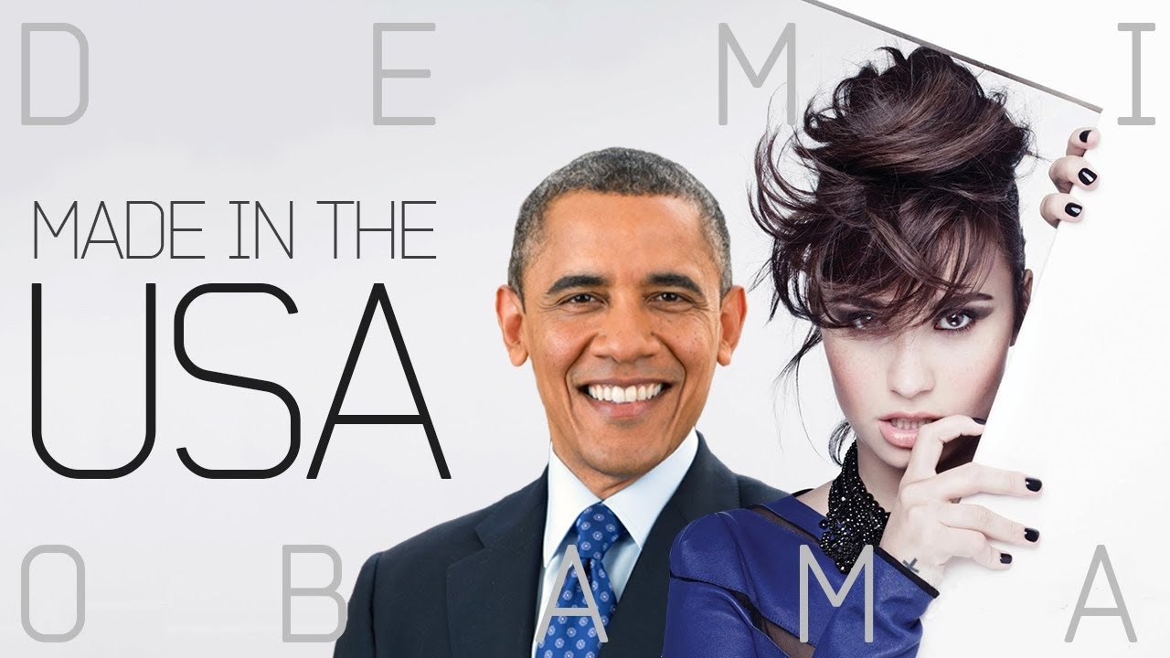 Made In the USA - Barack Obama hinh anh