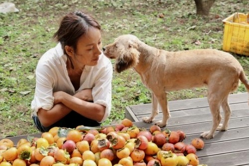 Lee Hyori thong bao dong blog hinh anh