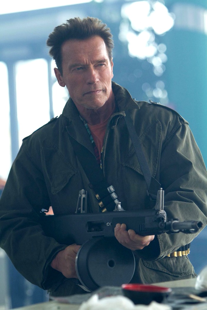 Kể từ khi giành chiến thắng trong cuộc thi thể hình châu Âu năm 1965, Arnold Schwarzenegger đã không ngừng chứng tỏ ông không chỉ có cơ bắp. Ngôi sao Kẻ hủy diệt có tấm bằng cử nhân Kinh doanh và Kinh tế quốc tế của trường đại học Wisconsin.