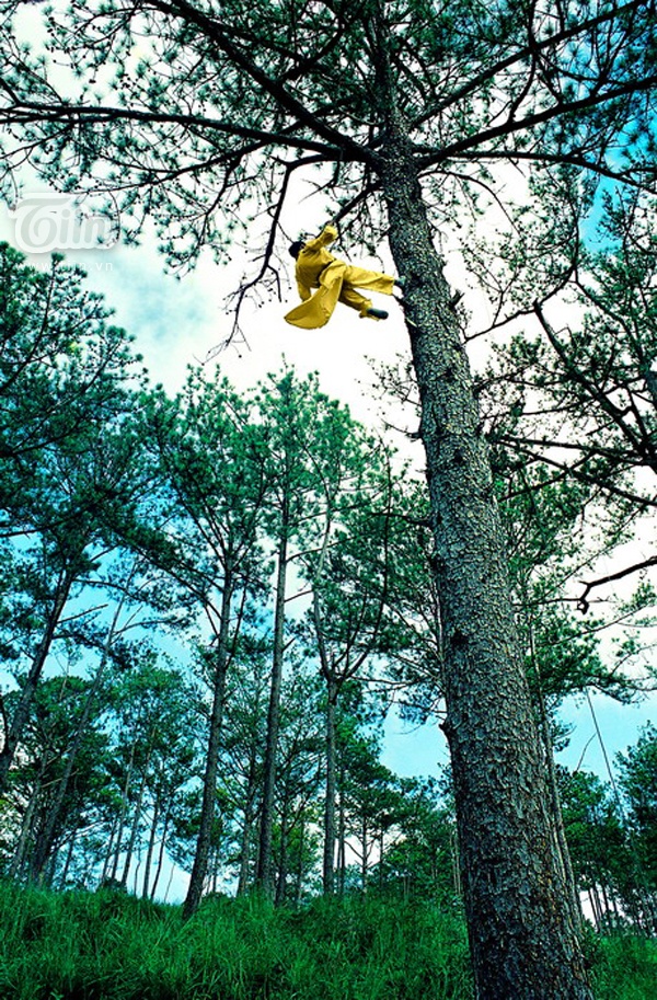 Một cảnh quay trên không