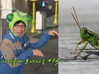 Yoo Jae Suk “đọ dáng”cùng bọ ngựa