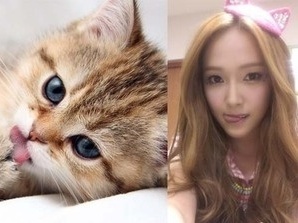 Biểu cảm “mèo” xinh tươi của Krystal F(x)