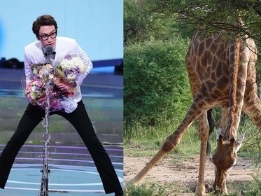 Lee Kwangsoo tạo dáng siêu mẫu giống hưu cao cổ nhỉ? Đây cũng chính là biệt danh thân thương mà fan dành cho anh