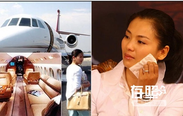 ưu Đào khi kết hôn với đại gia Vương Khải đã khiến nhiều người ghen tỵ. Cô sử dụng máy bay riêng, hàng dài siêu xe hạng sang. Nhưng hạnh phúc không kéo dài lâu, năm 2008 kết hôn, năm 2010, Lưu Đào đã phải quay lại làng giải trí đóng phim để kiếm tiền. Chồng cô bị tố nợ nần thẻ tín dụng, kinh doanh thua lỗ và lừa tiền. Mọi gánh nặng kinh tế trong gia đình giờ do Lưu Đào cáng đáng.