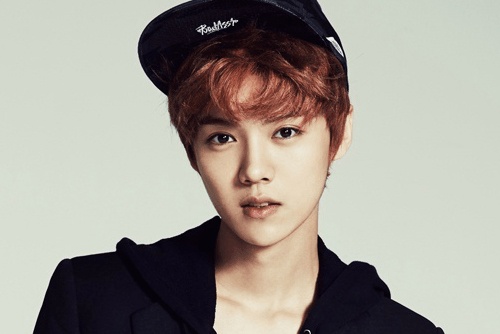 Fan che Luhan ngay cang xau vi roi EXO hinh anh