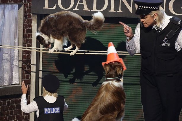 Jules va Matisse - Chase bieu dien trong dem chung ket Britain's Got Talent hinh anh