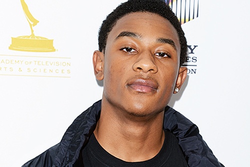 Chia sung vao canh sat, sao 'High School Musical 3' bi bat hinh anh