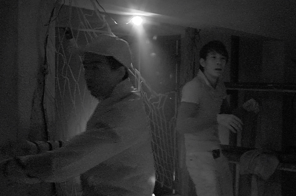 Cac doi choi Cuoc dua ky thu 2015 do dam trong nha ma hinh anh