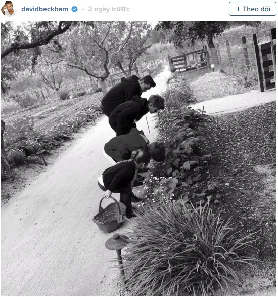 David Beckham nịnh vợ ảnh 1 David Beckham ninh vo anh 1