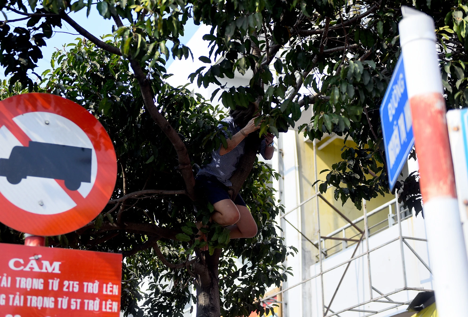 Fan T-ara gay tac nghen duong pho anh 5