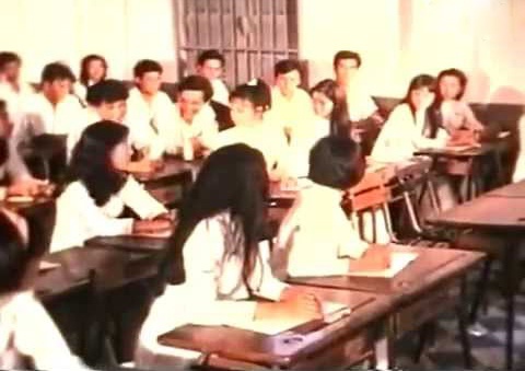 Vinh biet mua he - Thanh Tung hinh anh