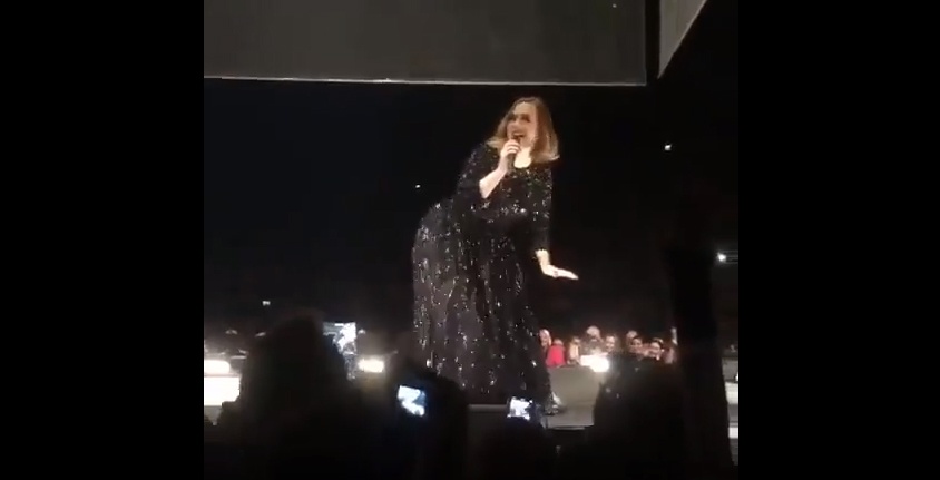 Adele nhay twerking hinh anh