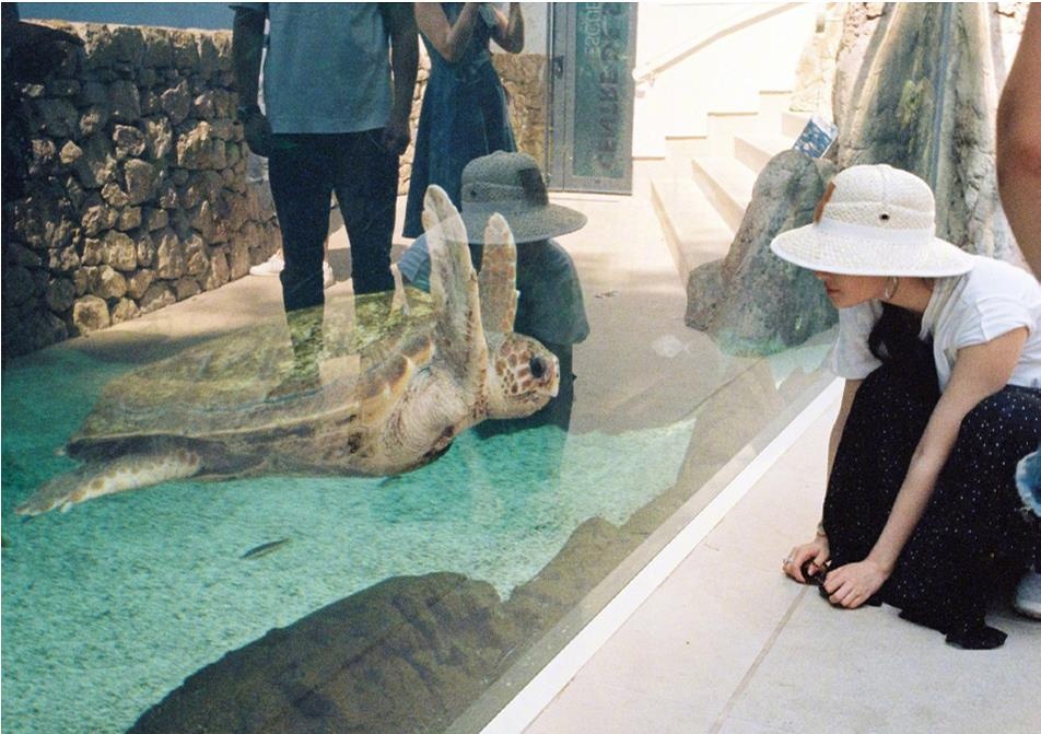 Luu Diec Phi,  Hoa moc lan anh 6