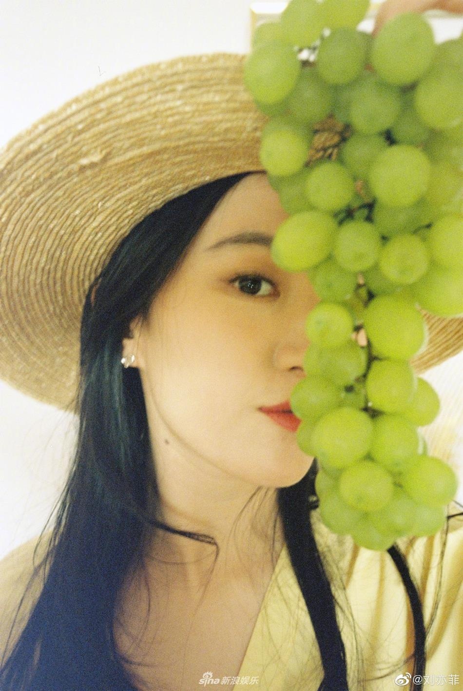 Luu Diec Phi,  Hoa moc lan anh 2