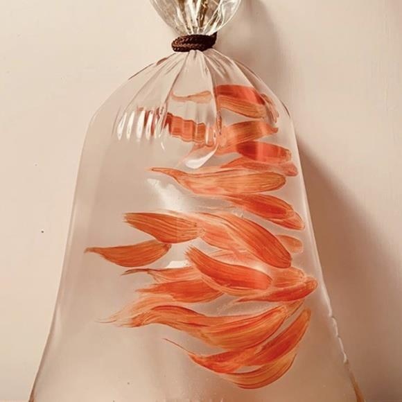 vien vinh nghi anh 2