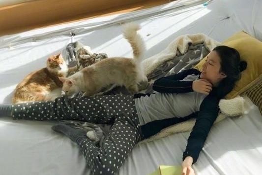 Luu Diec Phi va cuoc song ben hang chuc chu meo hinh anh