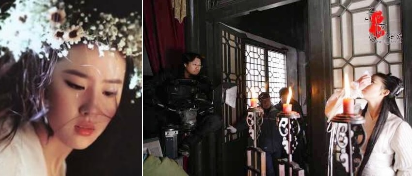 Bieu cam hai huoc cua sao Hoa ngu anh 3