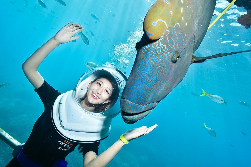 Uong Mong Van anh 10