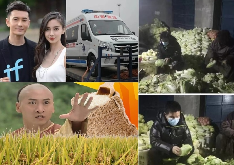 Nghe si Hoa ngu giua dich corona anh 5