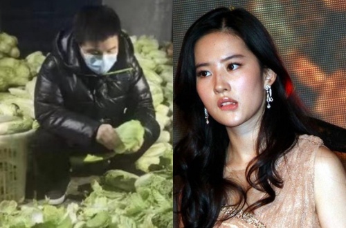 Showbiz sup do, nghe si Trung Quoc lam gi giua dai dich virus corona? hinh anh
