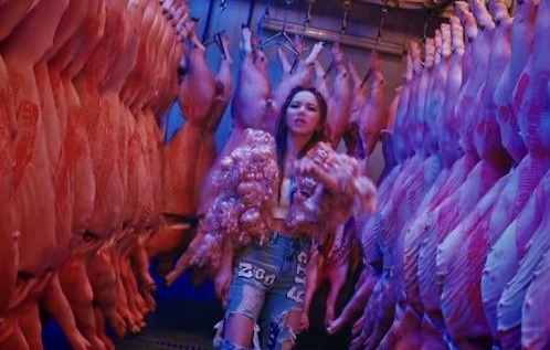 Nu ca si gay tranh cai vi quay MV trong lo mo heo hinh anh