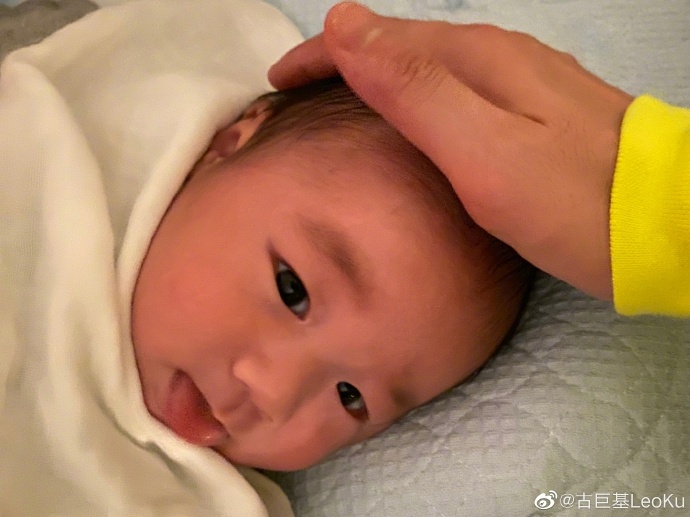 Cổ Cự Cơ ảnh 1 Co Cu Co anh 1