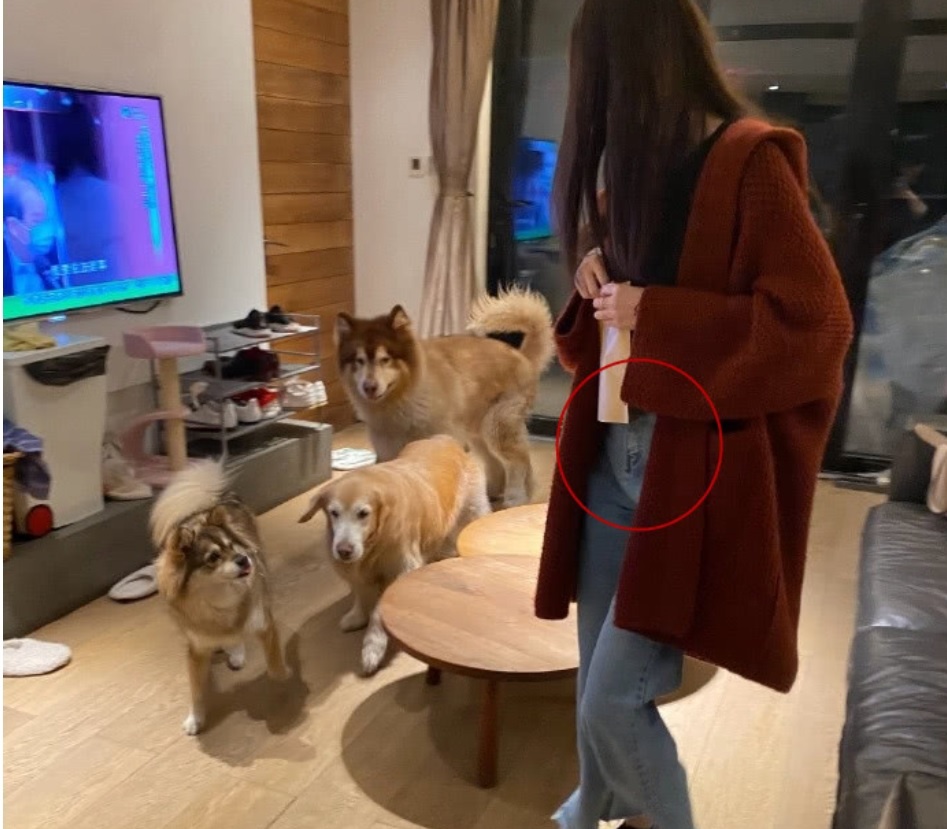 Trương Đại Dịch, Tưởng Phàm ảnh 3 Truong Dai Dich, Tuong Pham anh 3