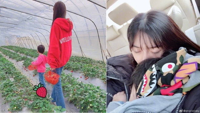 Angelababy bi fan chi trich anh 2