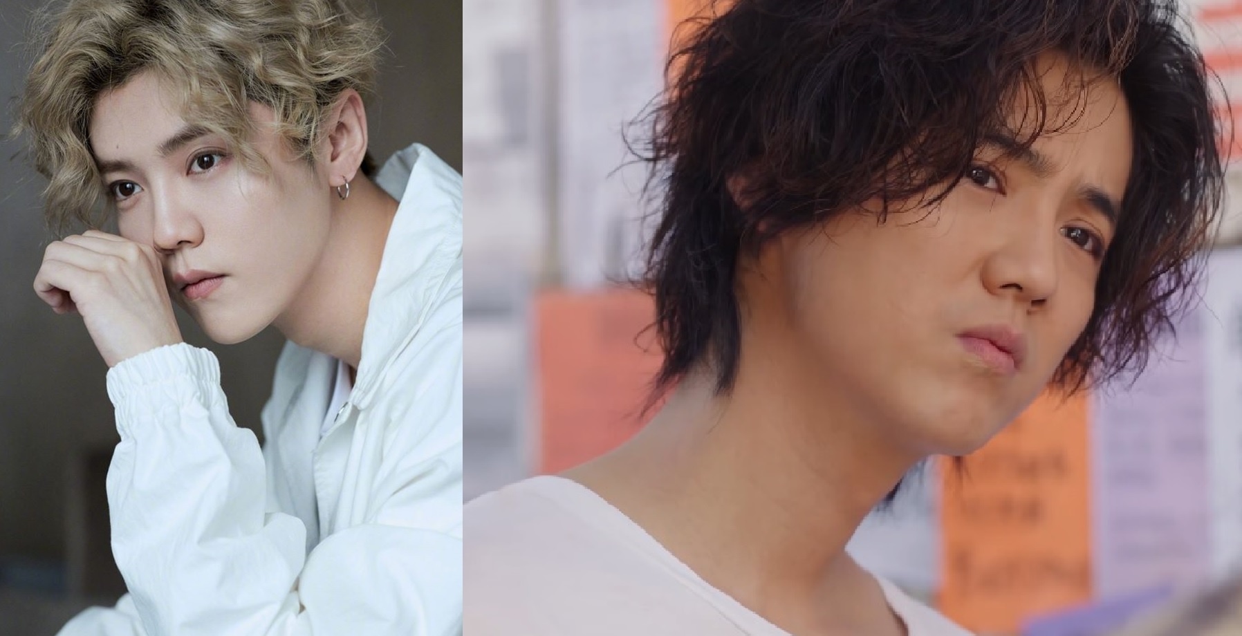 Loc Ham dien xuat anh 2