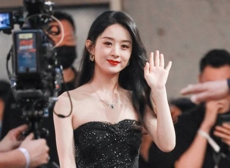 Nghe si Trung Quoc bi bop meo hinh anh tren song truyen hinh hinh anh