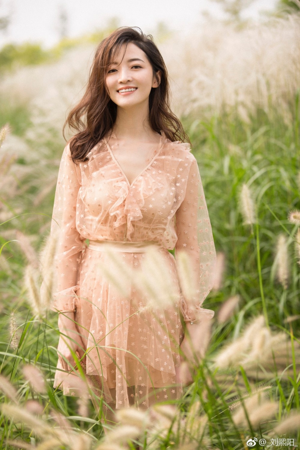 Toi ac tinh duc anh 2