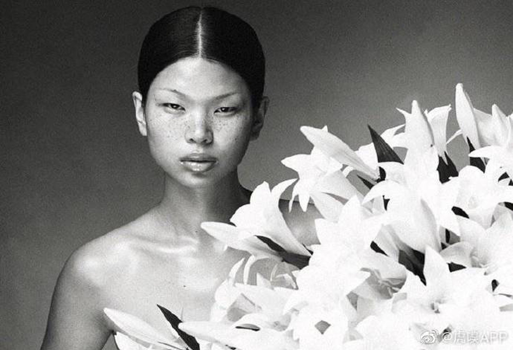 Body shaming tai showbiz Hoa ngu anh 5