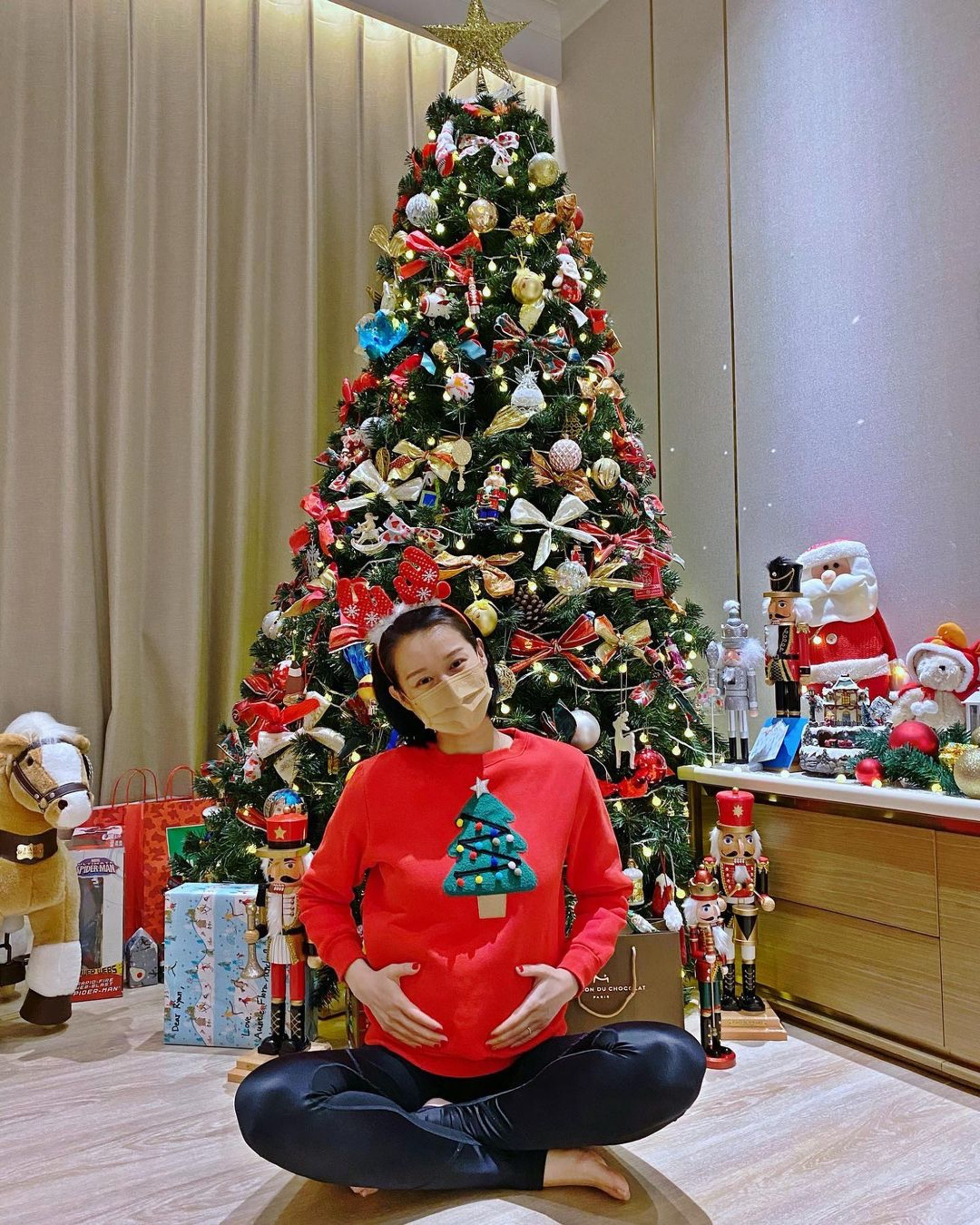 Ho Hanh Nhi mang thai lan ba anh 1