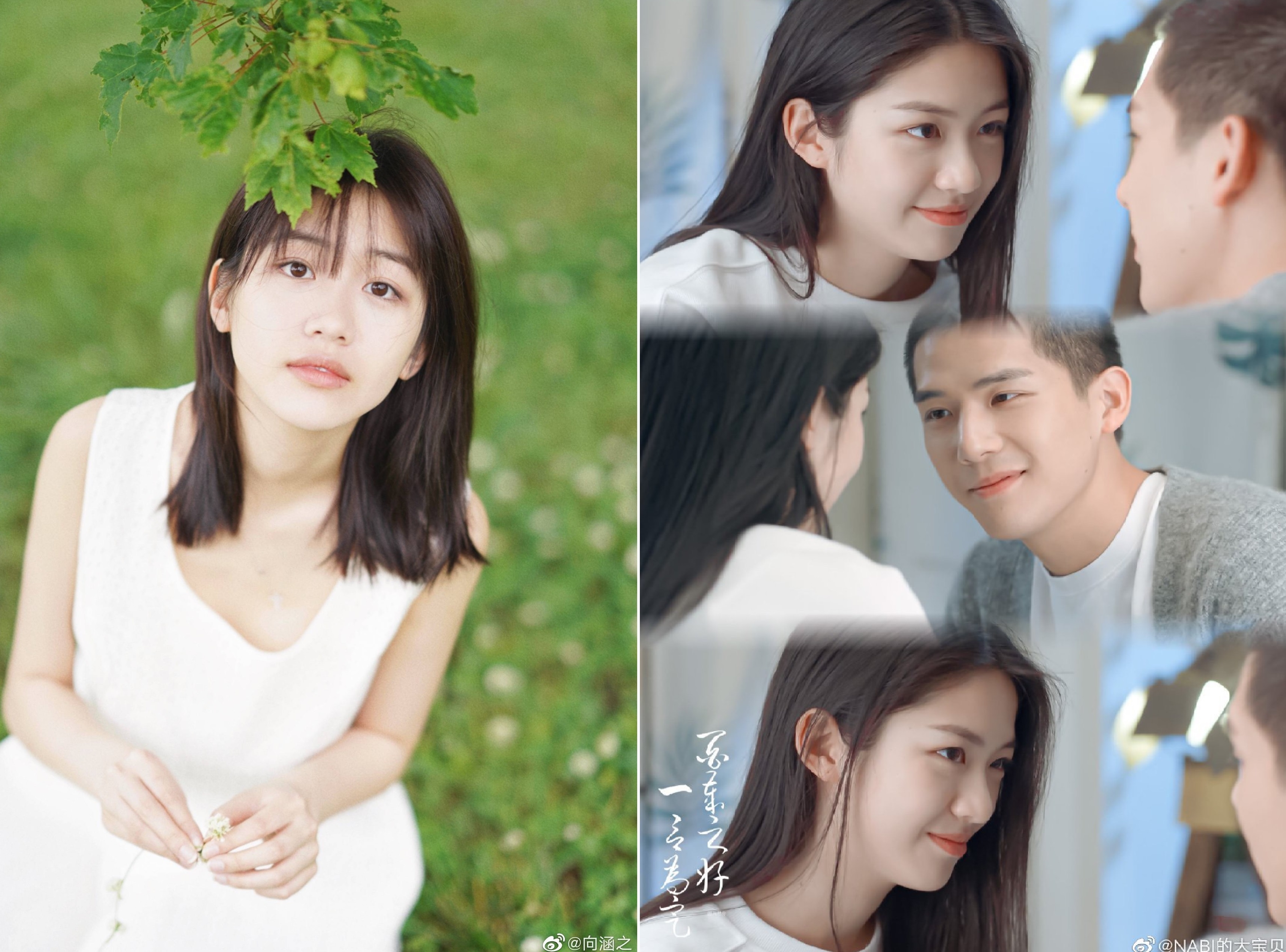 My nhan 2002 cua showbiz Hoa ngu anh 4