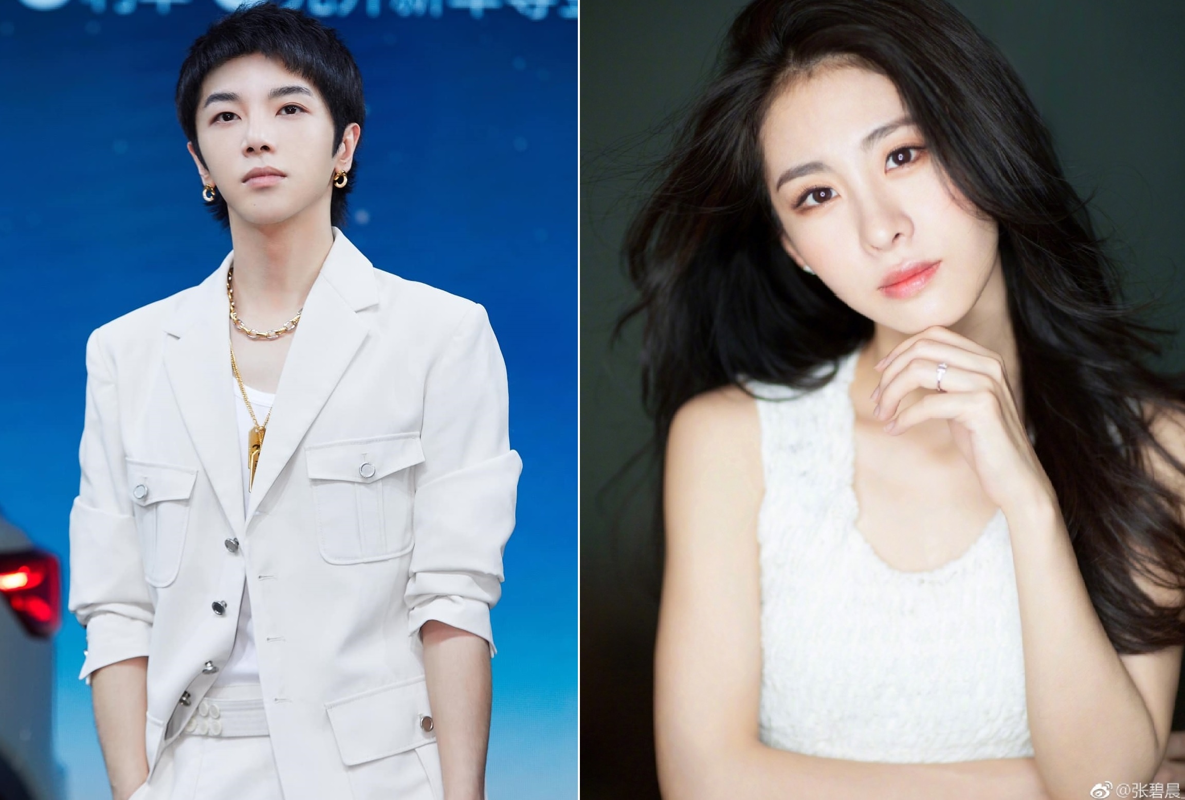 Hoa Than Vu va Truong Bich Than anh 1