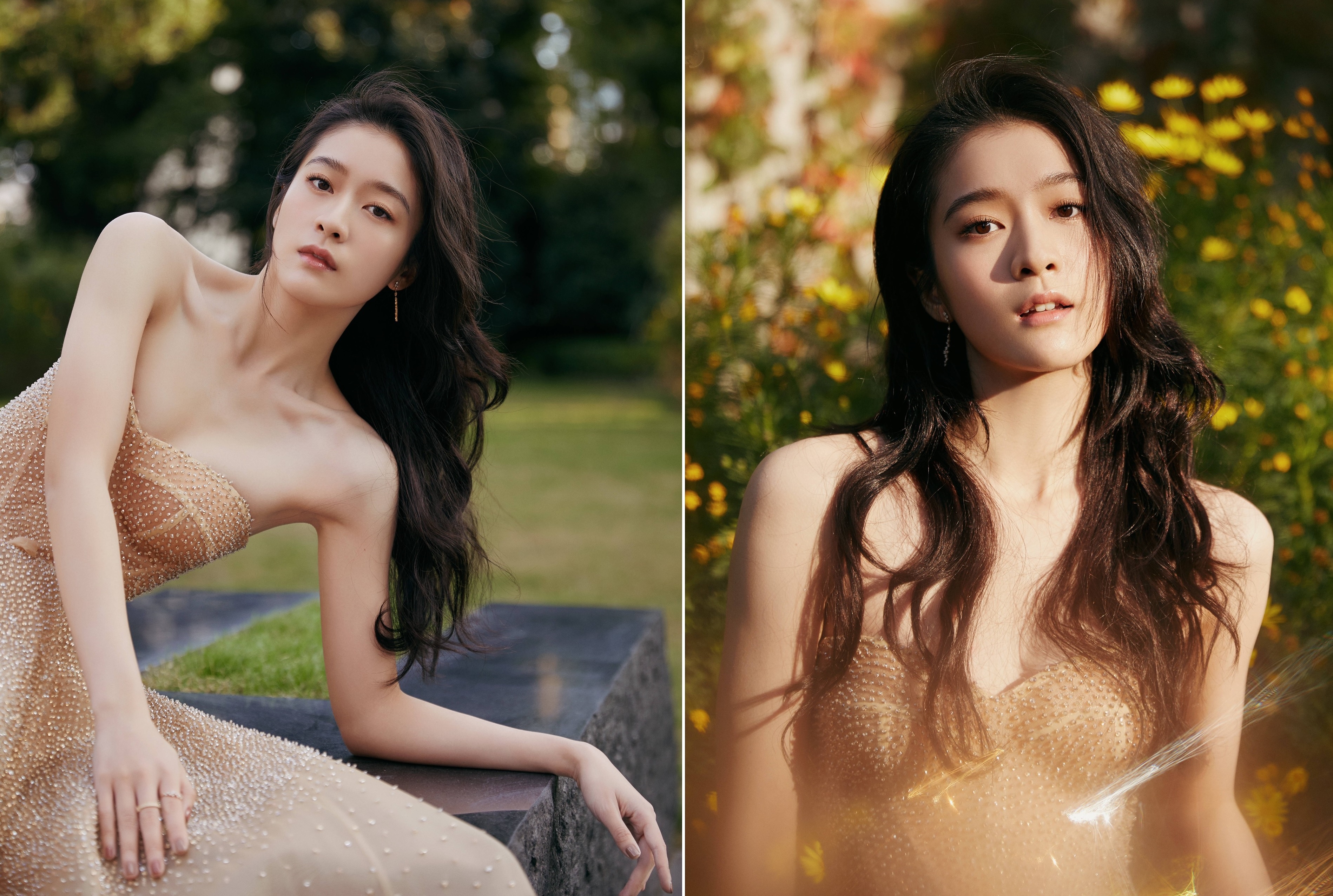 Truong Tuyet Nghenh sa sut anh 5