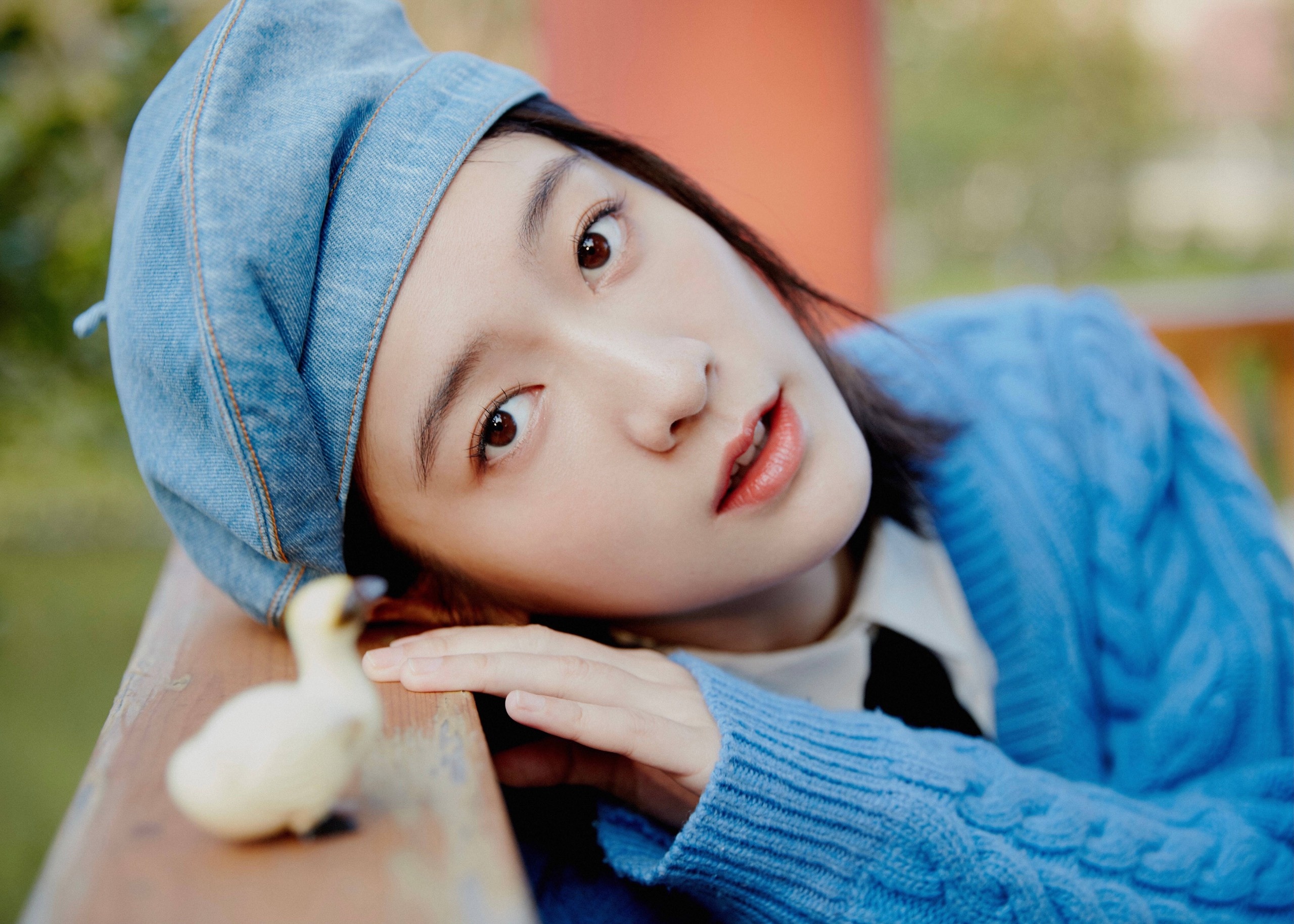 Truong Tuyet Nghenh sa sut anh 3