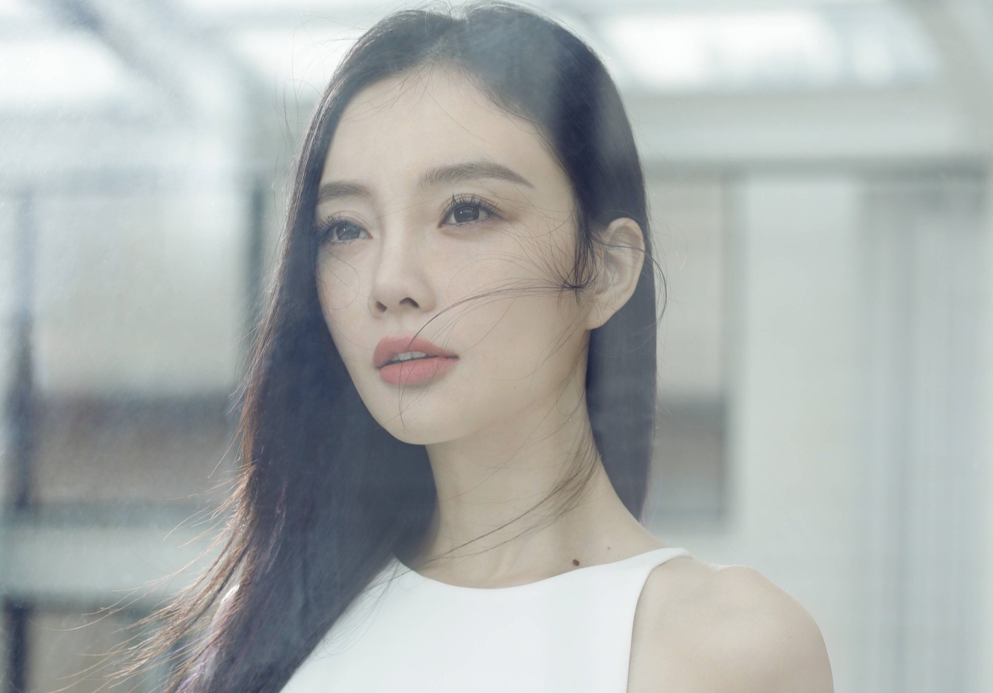 Ly Tieu Lo bi lua 1,8 trieu USD hinh anh