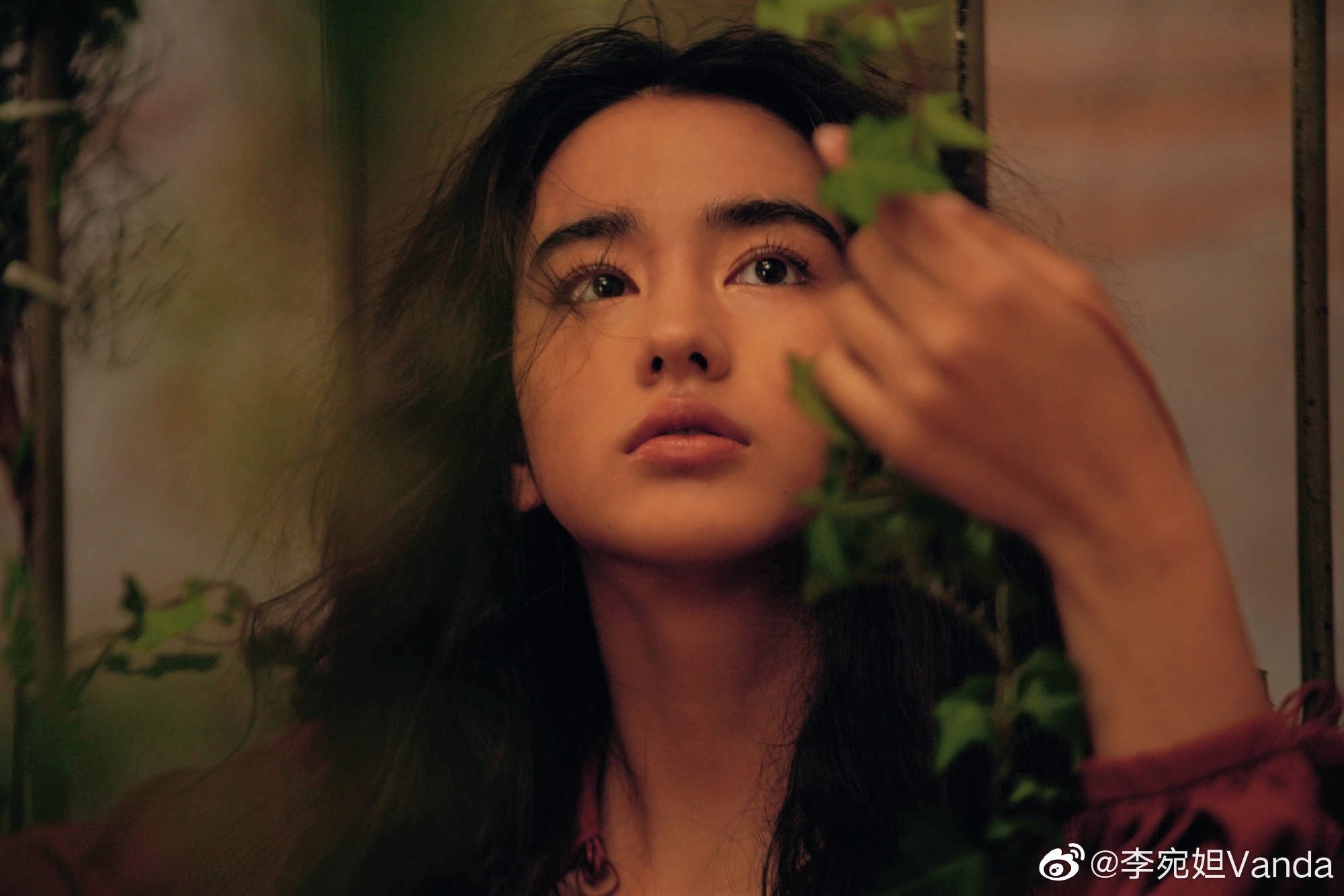 My nhan Diep Van anh 2