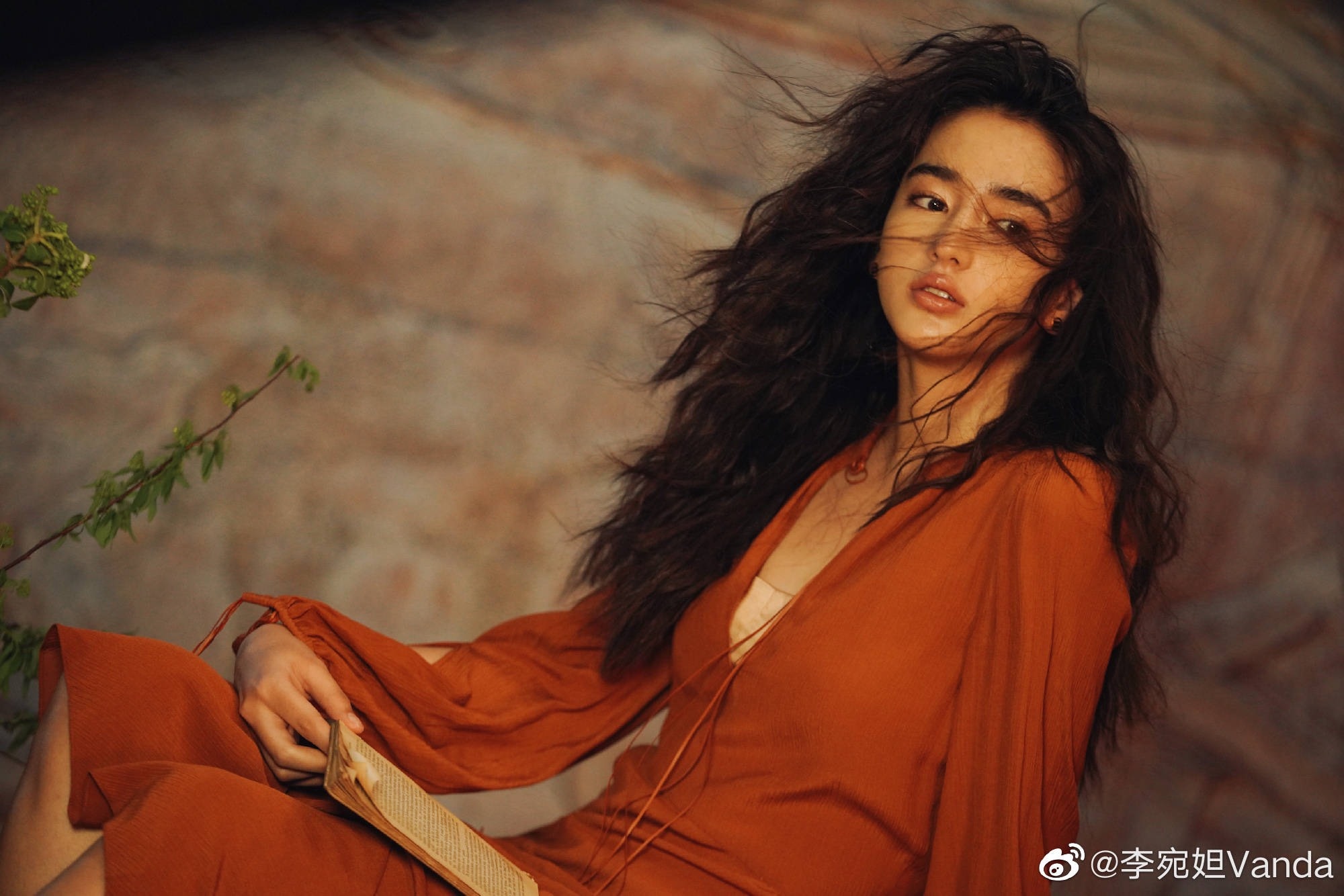 My nhan Diep Van anh 1